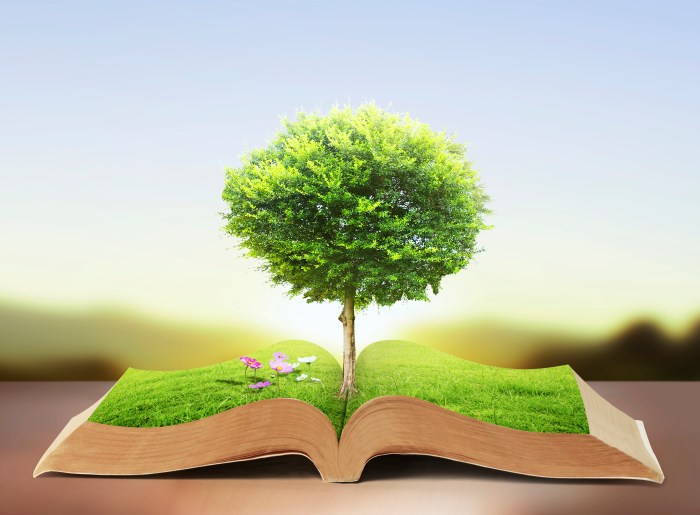 book of nature with grass and tree